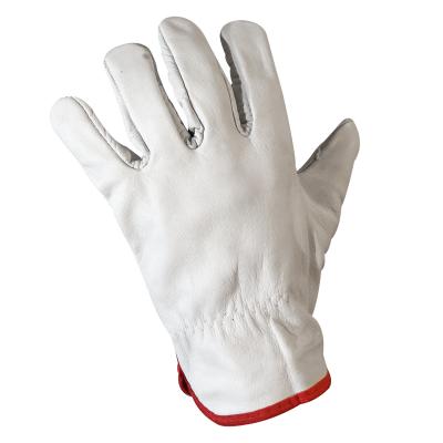 Guantes cabritilla economico